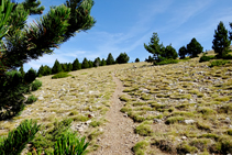 Camí de Bacanella.