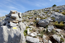 Prats alpins a la serra del Cadí.