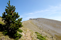 Camí a la Torreta de Cadí.