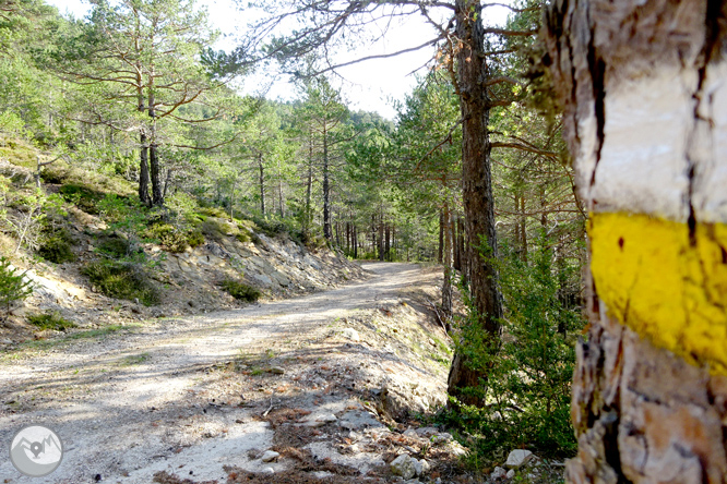 Ascensió a la Torreta de Cadí (2.562m) 1 