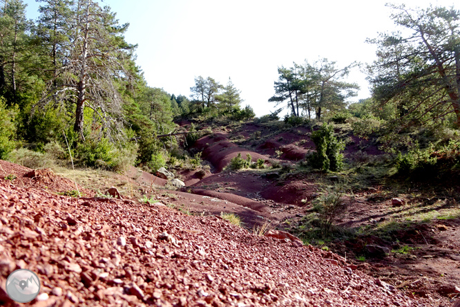 Ascensió a la Torreta de Cadí (2.562m) 1 