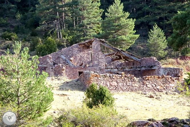 Ascensió a la Torreta de Cadí (2.562m) 1 