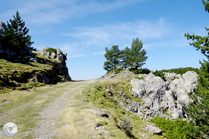 Ascensió a la Torreta de Cadí (2.562m) 1 