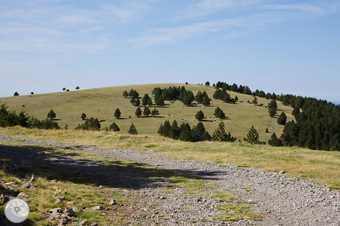 Ascensió a la Torreta de Cadí (2.562m) 1 