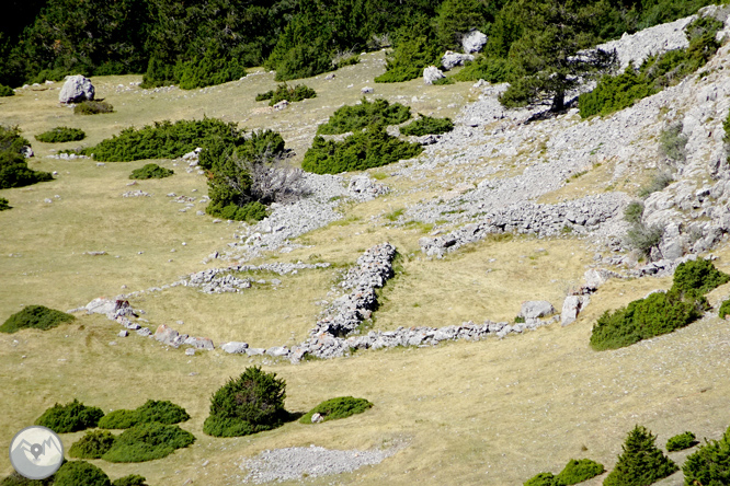 Ascensió a la Torreta de Cadí (2.562m) 1 