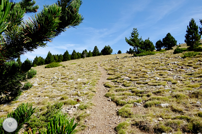 Ascensió a la Torreta de Cadí (2.562m) 1 