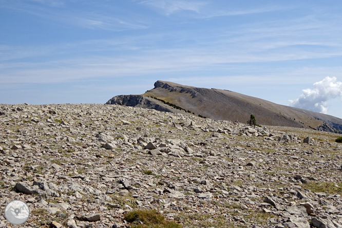 Ascensió a la Torreta de Cadí (2.562m) 1 