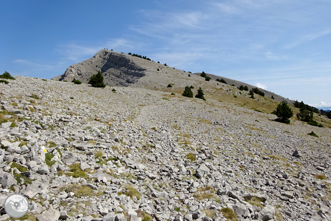 Ascensió a la Torreta de Cadí (2.562m) 1 