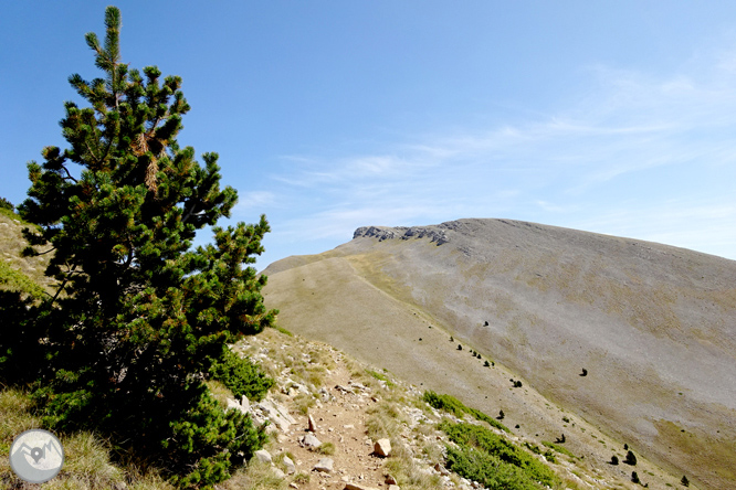 Ascensió a la Torreta de Cadí (2.562m) 1 