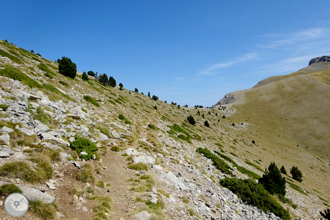 Ascensió a la Torreta de Cadí (2.562m) 1 