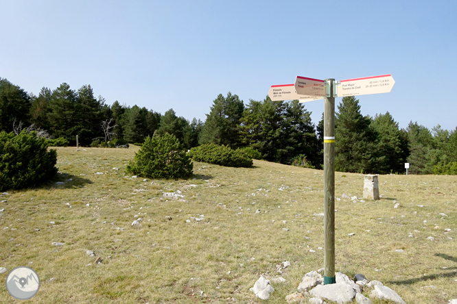 Ascensió a la Torreta de Cadí (2.562m) 1 