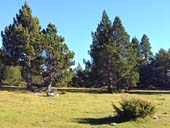 Torreta de l´Orri (2.439m) des de Llagunes