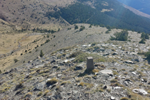 El llom ens porta fins al fons de la Coma-sarrera.