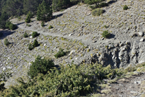 Camí de la Forestal. Girem a la dreta resseguint el barranc.