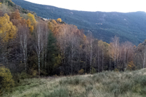 Prat de dall i bosc de ribera.