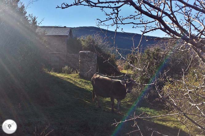 Torreta de l