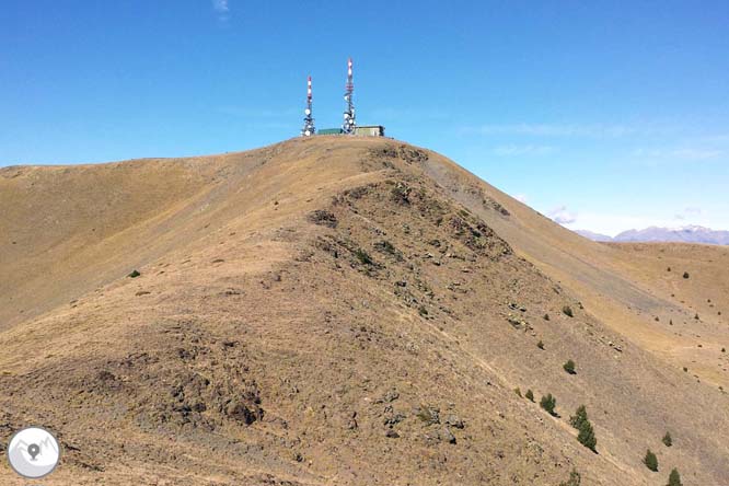 Torreta de l