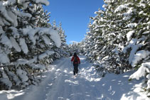 Bonic paisatge hivernal amb els arbres ben carregats de neu.