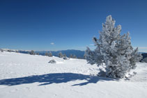 La part alta del massís de l´Orri rep abundants nevades al llarg de l´hivern.