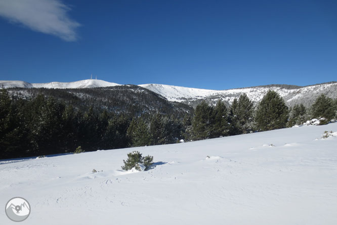 Torreta de l