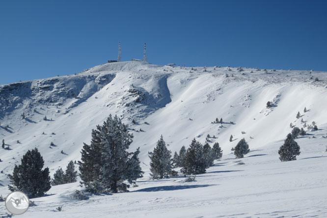 Torreta de l