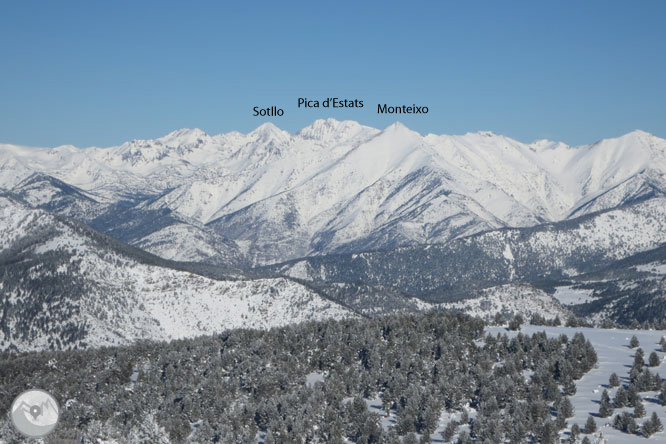 Torreta de l