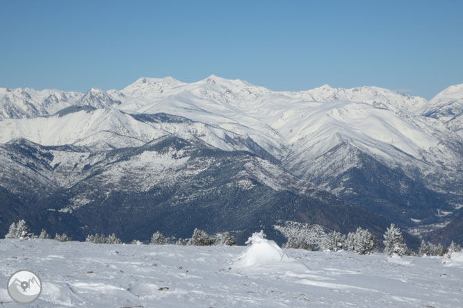 Torreta de l