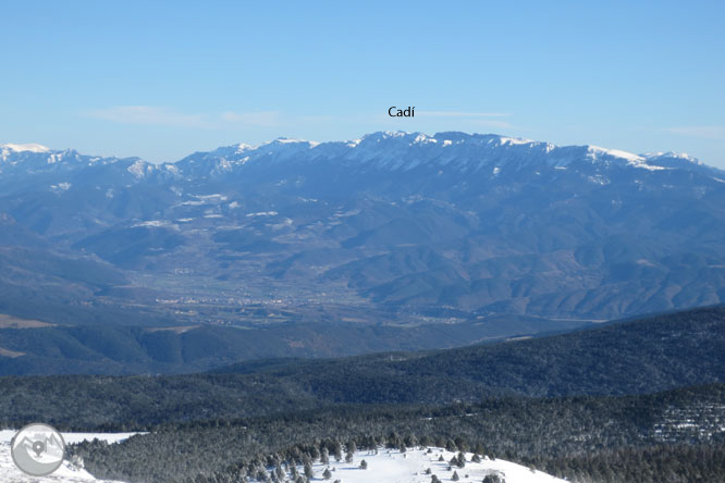 Torreta de l