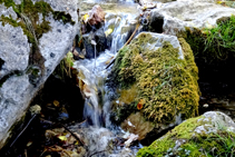 Torrent de Fontllebrera.