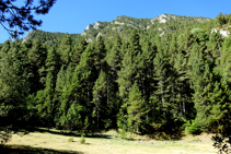 El vessant occidental de la vall.