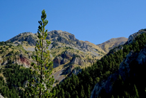 Mirada a orient: vistes de la Tosa d´Alp (al fons a la dreta).