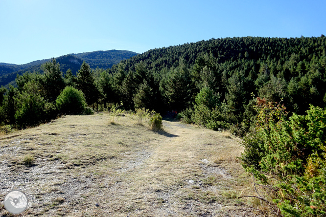 La Tosa (2.536m) des d