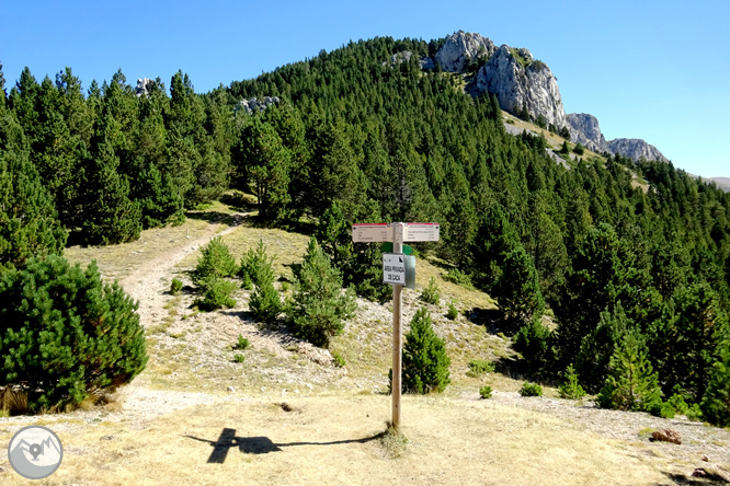 La Tosa (2.536m) des d