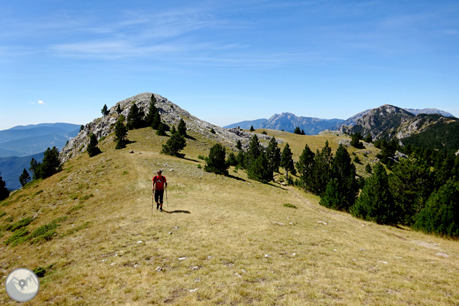 La Tosa (2.536m) des d