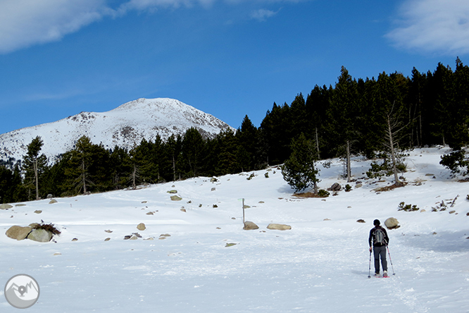 Tossa Plana de Lles (2.905m) des del Pradell 1 