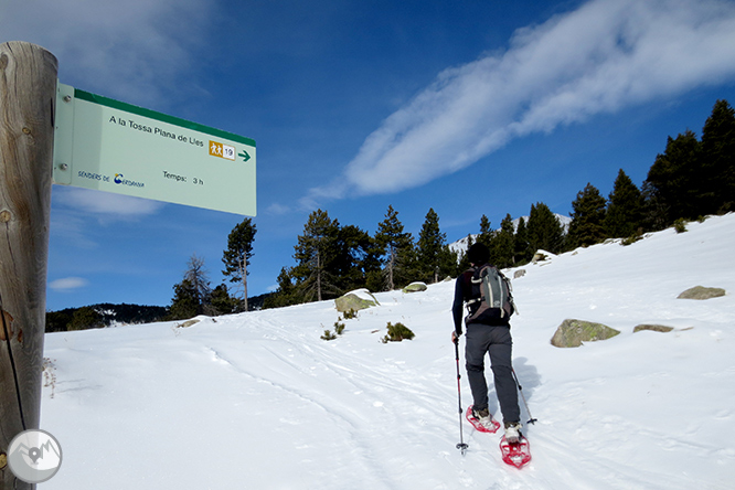 Tossa Plana de Lles (2.905m) des del Pradell 1 