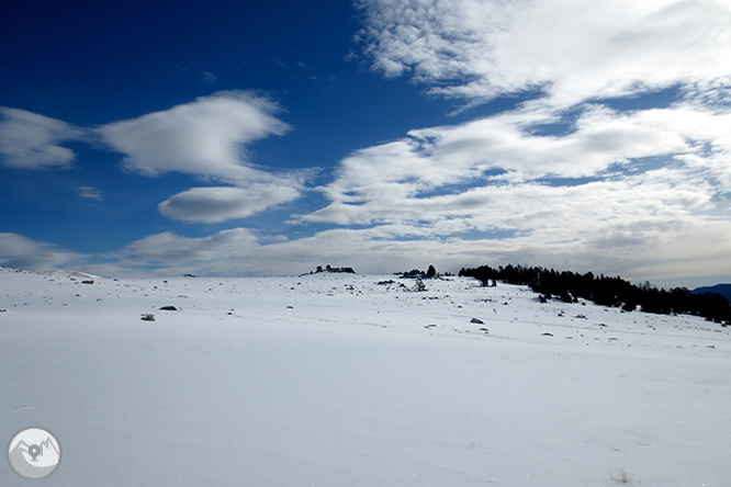 Tossa Plana de Lles (2.905m) des del Pradell 1 