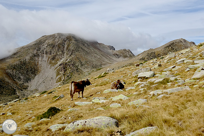 Tossa Plana de Lles (2.905m) des del Pradell 1 