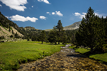 Arribem a un pla que ens ofereix estampes d´una bellesa inigualable.