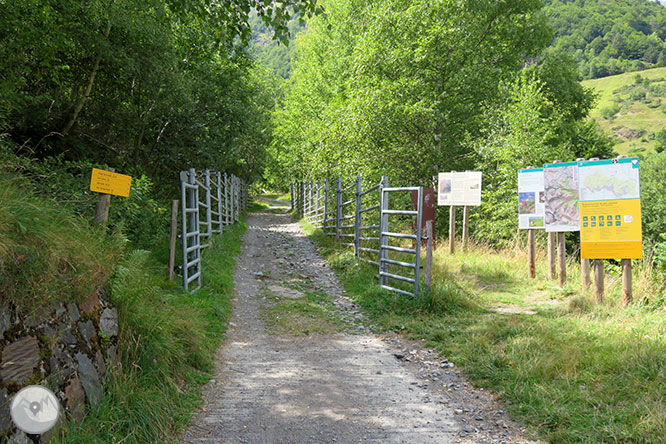 Vall de la Géla 1 