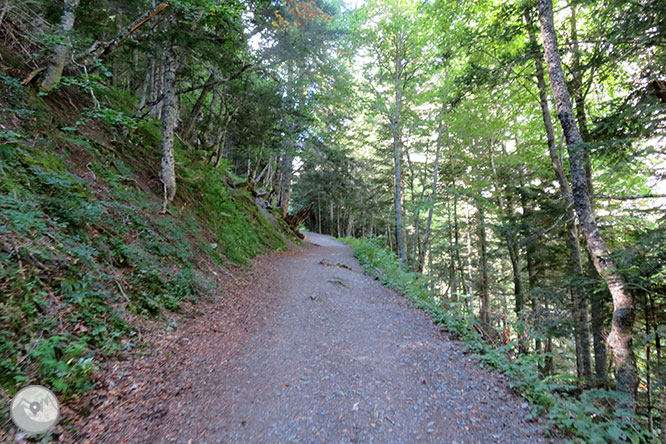 Vall de la Géla 1 