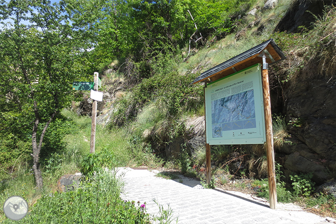 Vall de Riqüerna i camí de Rus des de Capdella 1 