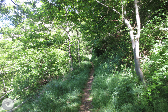 Vall de Riqüerna i camí de Rus des de Capdella 1 