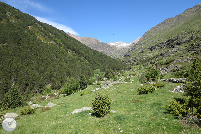 Vall de Riqüerna i camí de Rus des de Capdella 1 