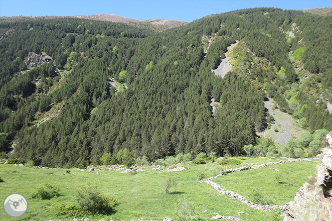 Vall de Riqüerna i camí de Rus des de Capdella 1 