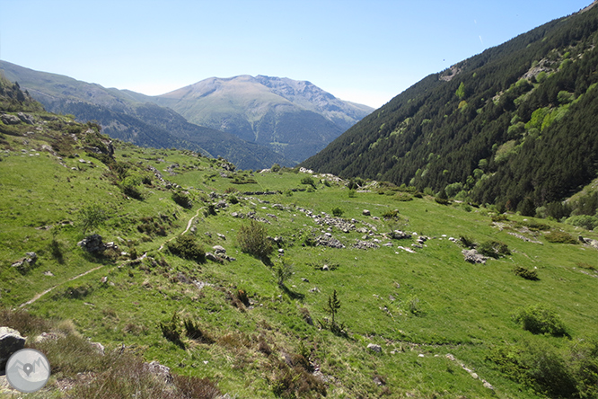 Vall de Riqüerna i camí de Rus des de Capdella 1 