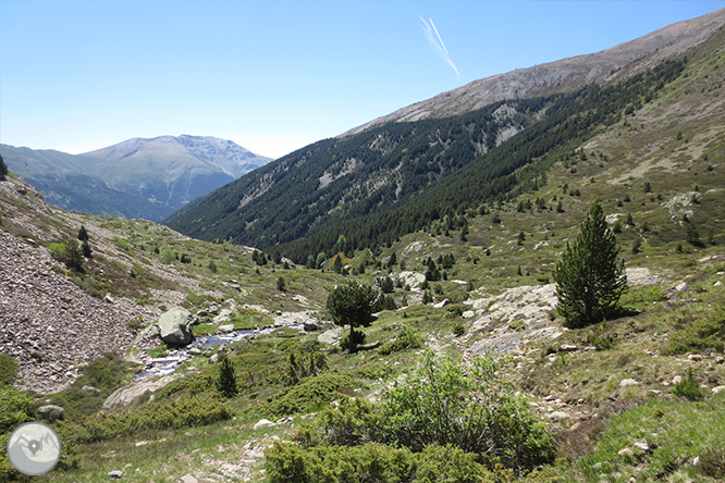 Vall de Riqüerna i camí de Rus des de Capdella 1 