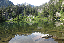 La muntanya dels Tres Puis (2.608m) es veu reflectida a les aigües de l´Estanyera.