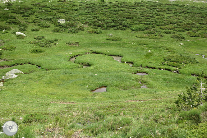 La vall i els estanys de Gerber 1 