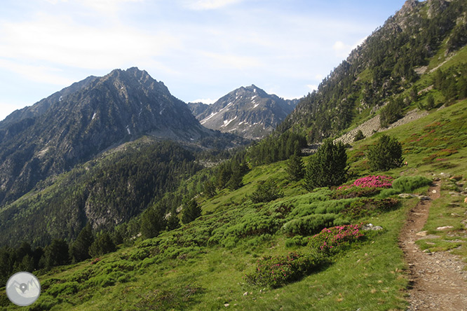 La vall i els estanys de Gerber 1 